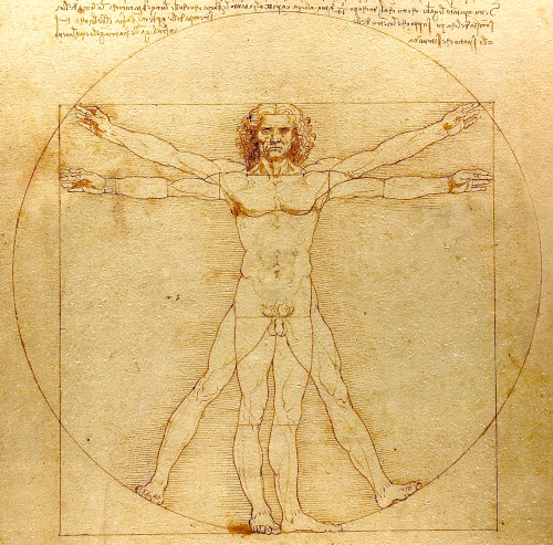 L'uomo vitruviano por Leonardo da Vinci (c. 1490)